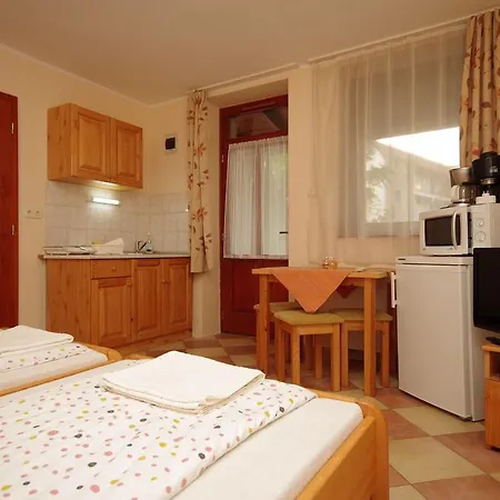 דירה Varazsko Apartmanhaz גיולה